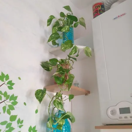 Dom wakacyjny A Casa Di Silvy Triest