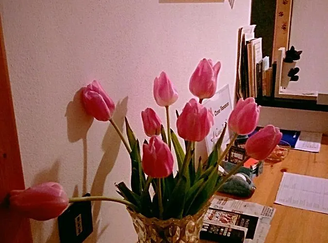 Будинок відпочинку A Casa Di Silvy