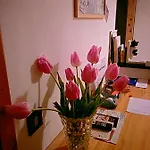 펜션 A Casa Di Silvy