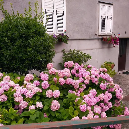 A Casa Di Silvy
