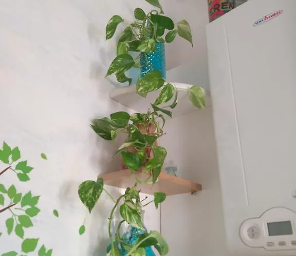 Holiday home A Casa Di Silvy Trieste